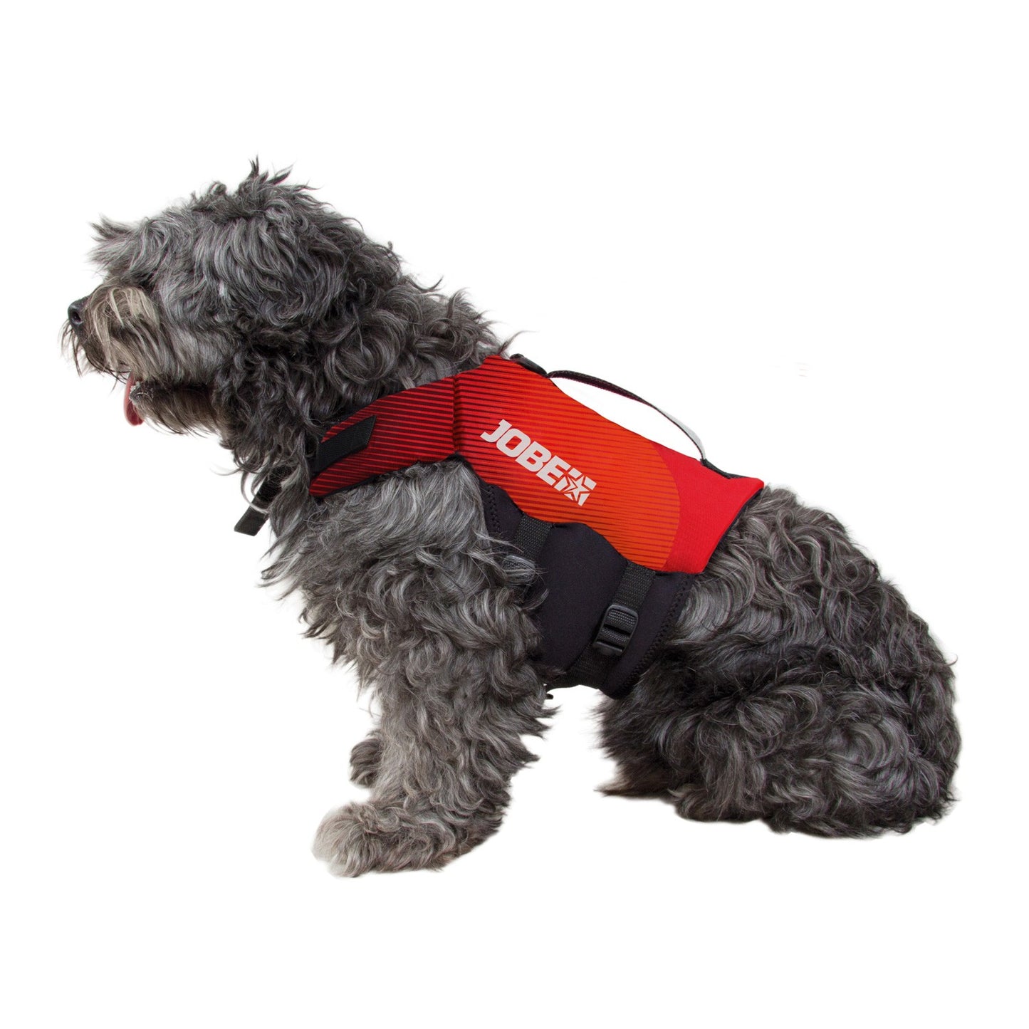 Zwemvest hond / kat Jobe